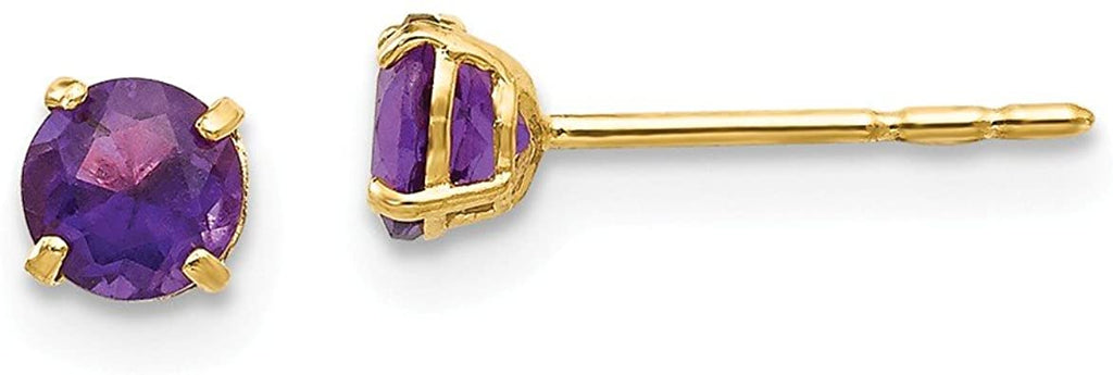24k Yellow Gold Plated 2 Cttw Amethyst Round Stud Earrings